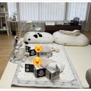 삼희월드프라자 | 시흥 배곧 산후도우미 쌍둥이 5주 후기 - 참사랑어머니회 이숙현 주명혜 관리사 추천