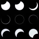 Seed of Li 이미지