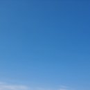 미애홈쇼핑