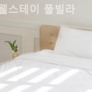 웰스테이 풀빌라 이미지