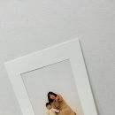 헤비수헤어성안점 이미지