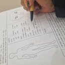 다밀림 이미지