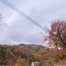 숯방마을 이미지