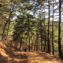 하사전리마을회관 이미지