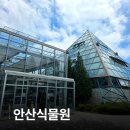 안산 식물원 | 안산 실내 가볼 만한 곳 아이와 다녀온 안산식물원