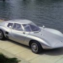 치타(CHEETAH) 이미지