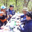 숲속의하루 이미지