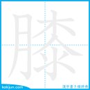무릎/슬 이미지