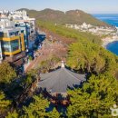 송정베스트의원 이미지