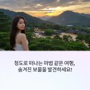경북 청도 여행에서 가볼 만한 여행지 추천 BEST 7