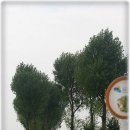 수시코스 이미지