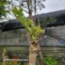 김미자농장 이미지