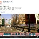 차에 부딪히기 전 아이를 구한 태권도 사범 이미지