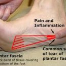 본디올홍제한의원 이미지