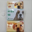 광진프라자약국 이미지