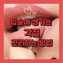 365뷰티
