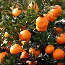 농민사랑 이미지