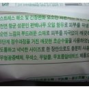 편백나무스토리