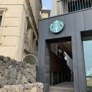 메밀꽃일다 이미지