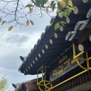 (주)가오식품 | [경주] 맥심가옥 팝업 스토어 주말 후기 꿀팁 추천