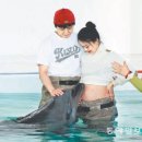 제주 돌고래 이미지
