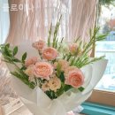 플로이나