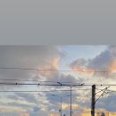 금호시장 이미지