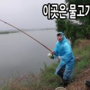 물레방아민물매운탕 이미지