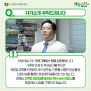 가인그래픽스