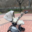 베이비하우스대전세종점 이미지