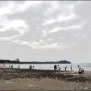 안면도조개구이 이미지