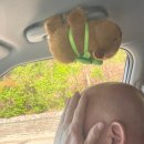 에스엠브라더유한회사 | [스압주의] 에고고고 데구르르 2분기 모음zip