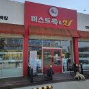 퍼스트독, 캣 이미지