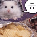 라크로체