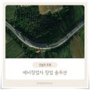 비즈인솔루션