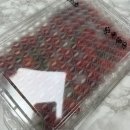 정성마트 | 달콤한 딸기 추천! 전북 익산 딸기 달콤팜 설향딸기 산지직송 배송 후기