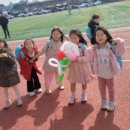 화북초등학교 병설유치원 이미지