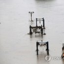 온천천일대11 이미지