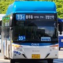 김포시 선진버스 차량현황 (2024.7.31 기준) 이미지