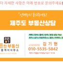 애월토리니 네이버블로그