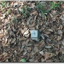 불목농장 이미지