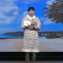 코지캐빈 네이버블로그