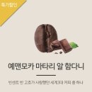 모카몰