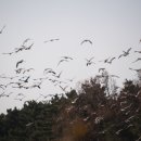 나들길 민박 이미지