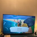 백도 SEA 네이버블로그