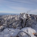 2.20 오대산 비로봉 눈산행5시간 적멸보궁은 우리나라에서 제일 좋은 명당이라고 일컬어지는 곳으로 부처님의 정골사리를 봉안한 우리나라 ５대 보궁중 하나다 이미지