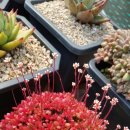 나나블루 이미지