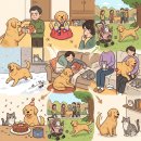 개와 고양이 사이, 털 뭉치들과 함께 걷는 4,000일의 명랑 일기 : 하이틴로멘스 03 이미지