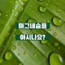 건강을 위한 마그네슘 치유 이미지