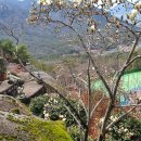 제생당약국 이미지